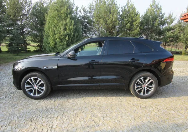 jaguar rypin Jaguar F-Pace cena 84500 przebieg: 124677, rok produkcji 2016 z Rypin